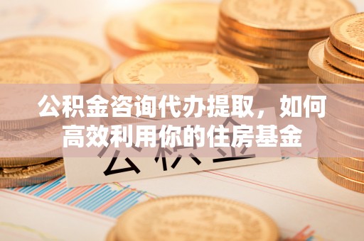 大通公积金咨询代办提取，如何高效利用你的住房基金