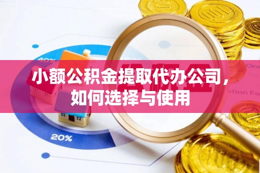 大通小额公积金提取代办公司，如何选择与使用