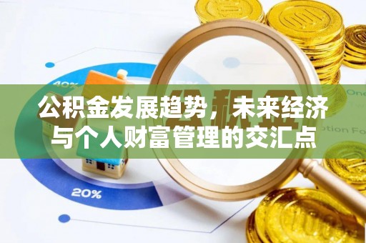 大通公积金发展趋势，未来经济与个人财富管理的交汇点