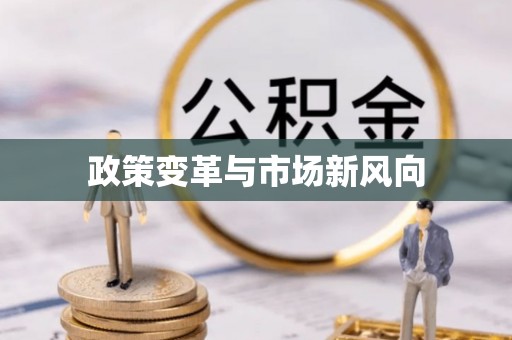 大通政策变革与市场新风向