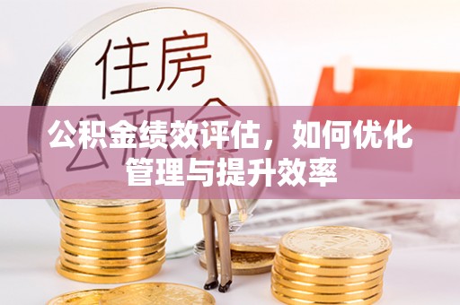 大通公积金绩效评估，如何优化管理与提升效率