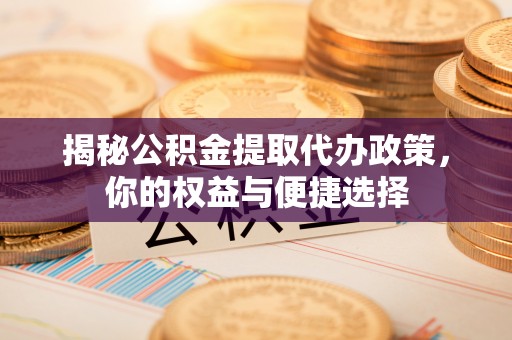 大通揭秘公积金提取代办政策，你的权益与便捷选择