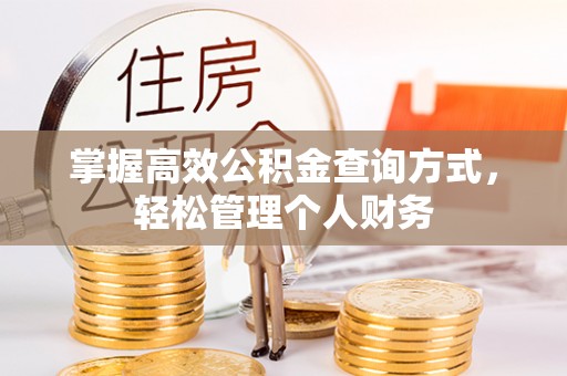 大通掌握高效公积金查询方式，轻松管理个人财务