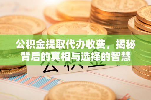 大通公积金提取代办收费，揭秘背后的真相与选择的智慧