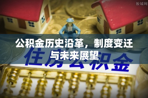 大通公积金历史沿革，制度变迁与未来展望