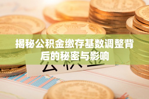 大通揭秘公积金缴存基数调整背后的秘密与影响