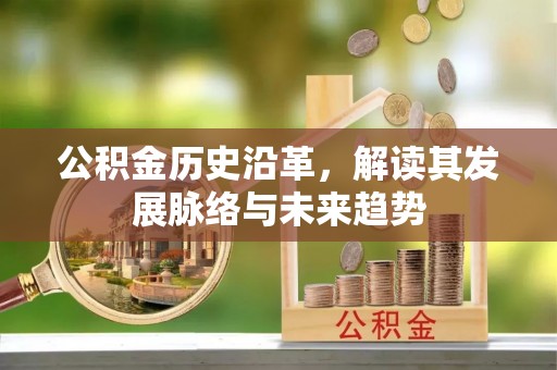 大通公积金历史沿革，解读其发展脉络与未来趋势