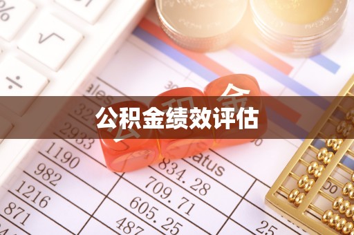 大通公积金绩效评估