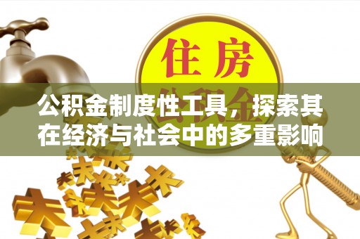 大通公积金制度性工具，探索其在经济与社会中的多重影响