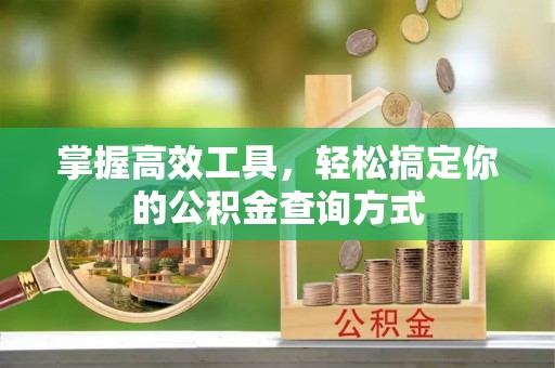 大通掌握高效工具，轻松搞定你的公积金查询方式