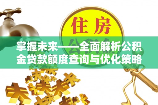 大通掌握未来——全面解析公积金贷款额度查询与优化策略