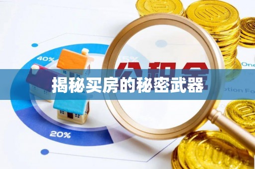 大通揭秘买房的秘密武器