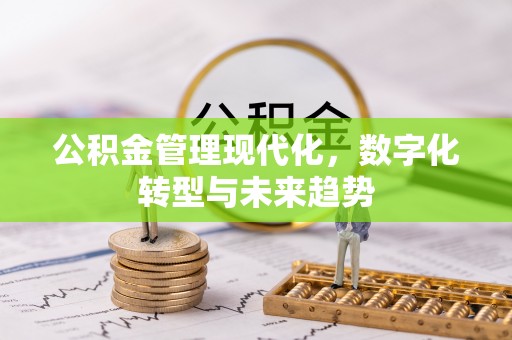 大通公积金管理现代化，数字化转型与未来趋势