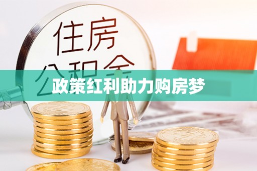 大通政策红利助力购房梦