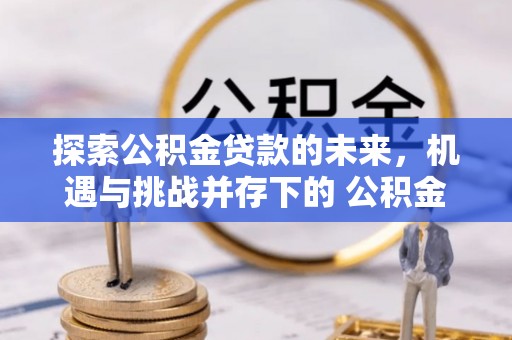 大通探索公积金贷款的未来，机遇与挑战并存下的 公积金贷款风险防控