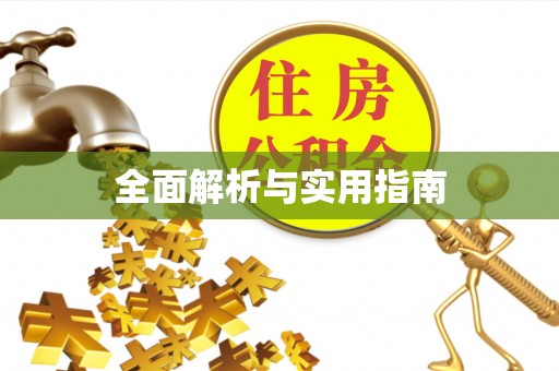 大通全面解析与实用指南