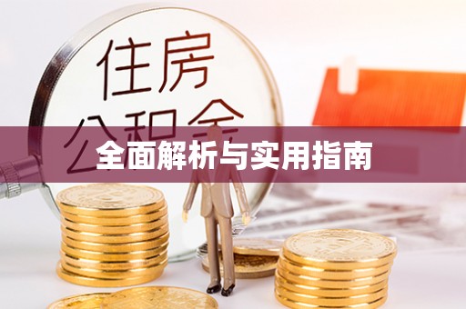 大通全面解析与实用指南