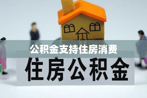 大通公积金支持住房消费