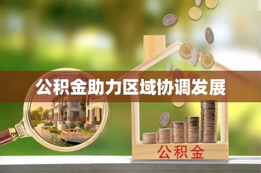 大通公积金助力区域协调发展