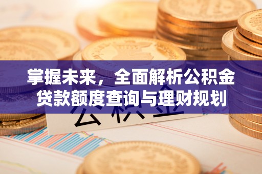 大通掌握未来，全面解析公积金贷款额度查询与理财规划