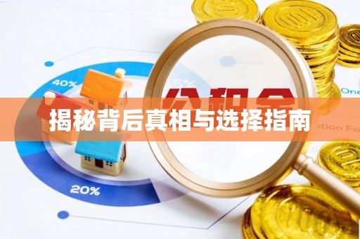大通揭秘背后真相与选择指南