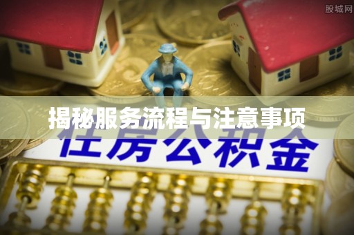 大通揭秘服务流程与注意事项