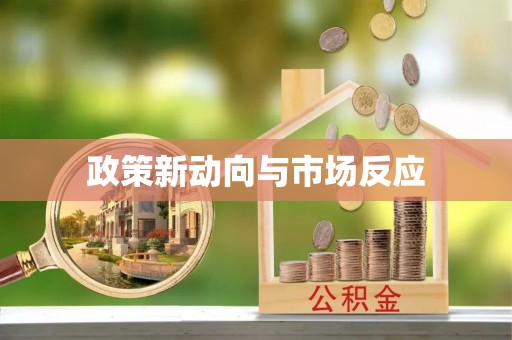 大通政策新动向与市场反应