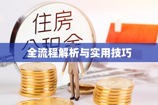 大通全流程解析与实用技巧