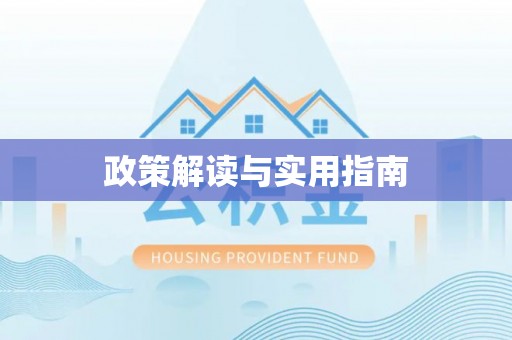 大通政策解读与实用指南