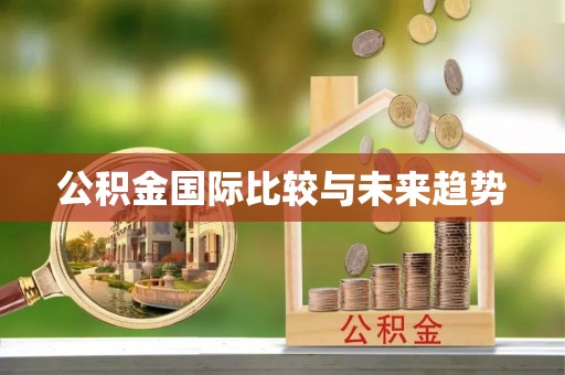 大通公积金国际比较与未来趋势