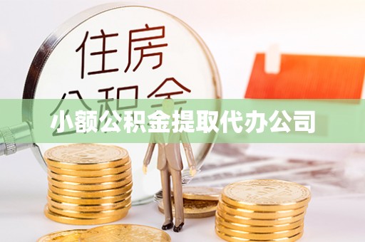 大通小额公积金提取代办公司