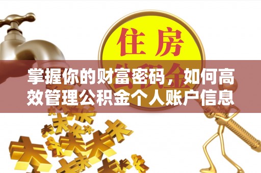 大通掌握你的财富密码，如何高效管理公积金个人账户信息