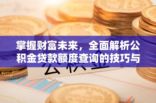 大通掌握财富未来，全面解析公积金贷款额度查询的技巧与策略