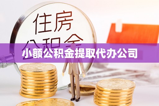 大通小额公积金提取代办公司