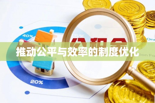 大通推动公平与效率的制度优化