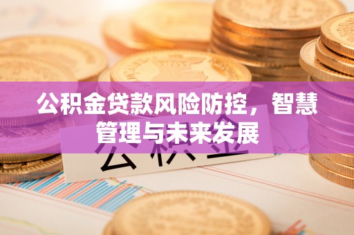 大通公积金贷款风险防控，智慧管理与未来发展