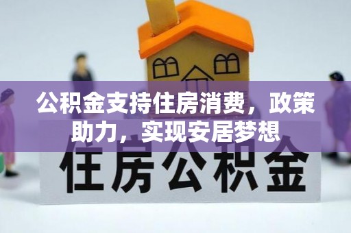 大通公积金支持住房消费，政策助力，实现安居梦想