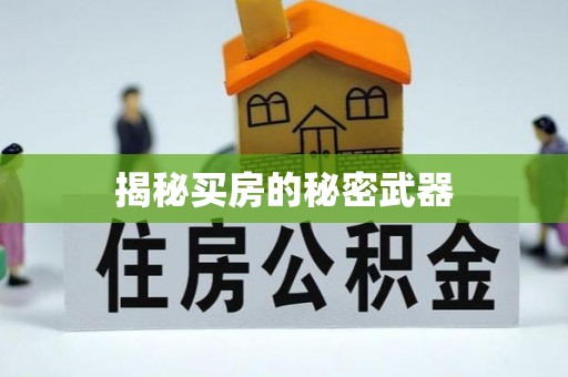 大通揭秘买房的秘密武器