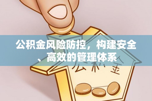 大通公积金风险防控，构建安全、高效的管理体系