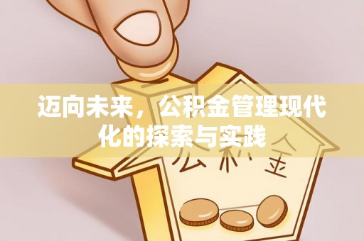 大通迈向未来，公积金管理现代化的探索与实践