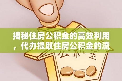大通揭秘住房公积金的高效利用，代办提取住房公积金的流程与技巧