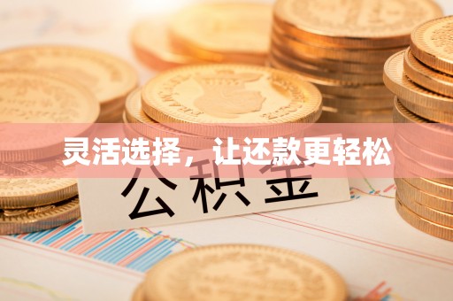 大通灵活选择，让还款更轻松