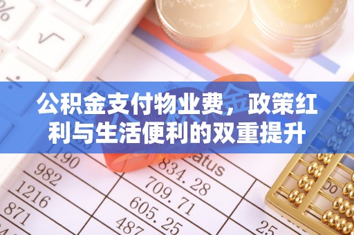 大通公积金支付物业费，政策红利与生活便利的双重提升