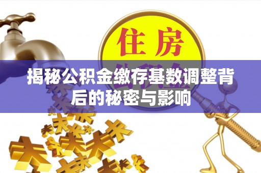 大通揭秘公积金缴存基数调整背后的秘密与影响