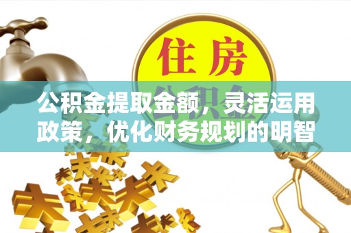 大通公积金提取金额，灵活运用政策，优化财务规划的明智选择
