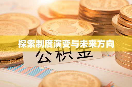 大通探索制度演变与未来方向