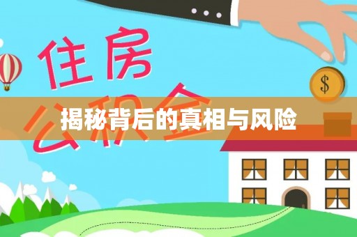 大通揭秘背后的真相与风险