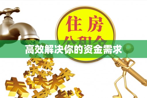 大通高效解决你的资金需求