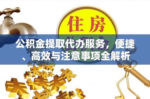大通公积金提取代办服务，便捷、高效与注意事项全解析