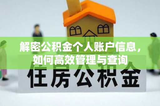 大通解密公积金个人账户信息，如何高效管理与查询